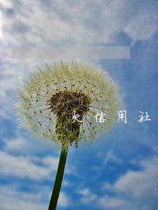 欠信用社贷款逾期二年以上