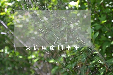 欠信用逾期半年 欠信用逾期半年