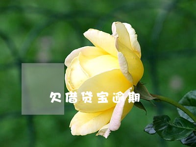 欠借贷宝逾期 欠借贷宝逾期