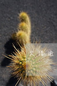 欠借逾期4个多月后果严重吗