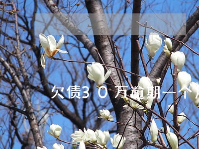 欠债30万逾期一个月 欠债30万逾期一个月