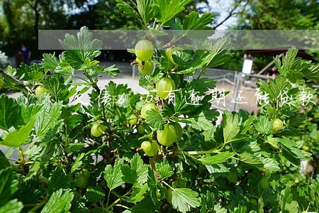 欠债6万有逾期还能贷款吗 欠债6万有逾期还能贷款吗