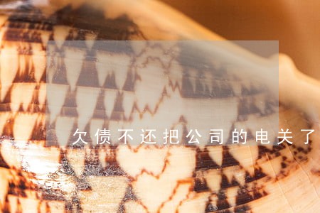欠债不还把公司的电关了算违法吗 欠债不还把公司的电关了算违法吗
