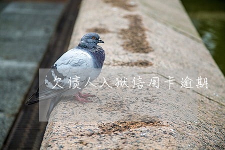 欠债人入狱信用卡逾期