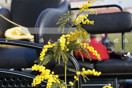 欠债人唯一的住房会被法院查封吗 欠债人唯一的住房会被法院查封吗