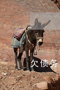 欠债务全面逾期怎么办 欠债务全面逾期怎么办