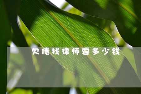 欠债找律师要多少钱 欠债找律师要多少钱