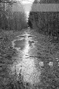 欠债有效诉讼时间 欠债有效诉讼时间