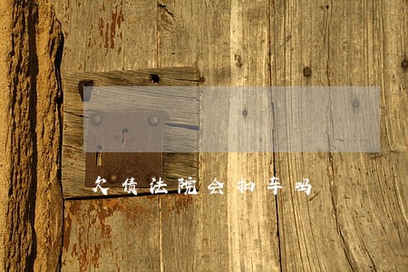 欠债法院会扣车吗 欠债法院会扣车吗