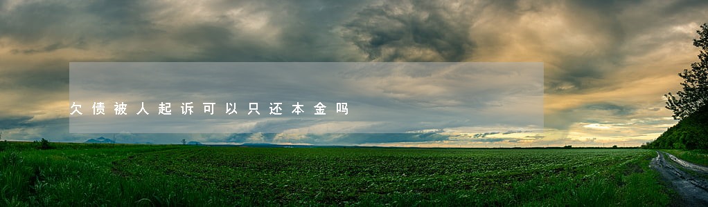 欠债被人起诉可以只还本金吗 欠债被人起诉可以只还本金吗