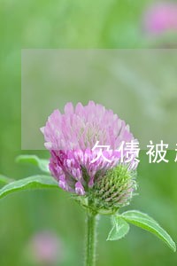 欠债被起诉后离婚 欠债被起诉后离婚