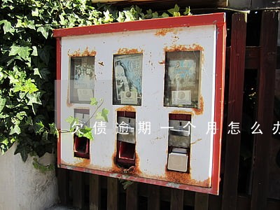 欠债逾期一个月怎么办