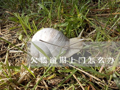 欠债逾期上门怎么办 欠债逾期上门怎么办