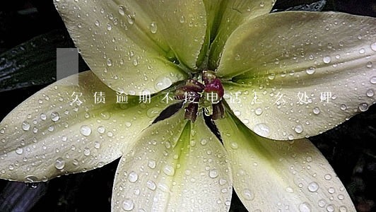 欠债逾期不接电话怎么处理 欠债逾期不接电话怎么处理