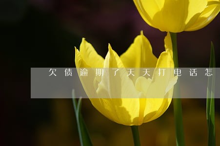 欠债逾期了天天打电话怎么办 欠债逾期了天天打电话怎么办