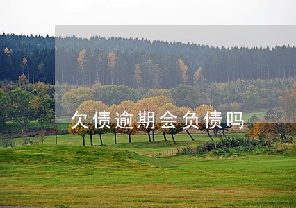 欠债逾期会负债吗 欠债逾期会负债吗