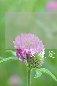 欠债逾期借钱app 欠债逾期借钱app