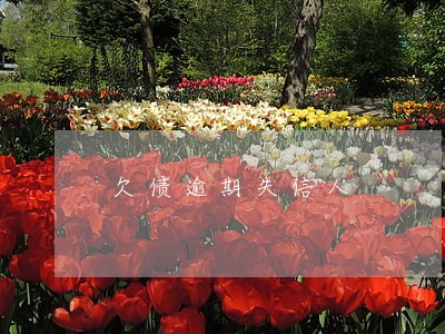 欠债逾期失信人 欠债逾期失信人