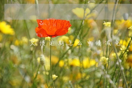 欠债逾期怎么申请减免 欠债逾期怎么申请减免