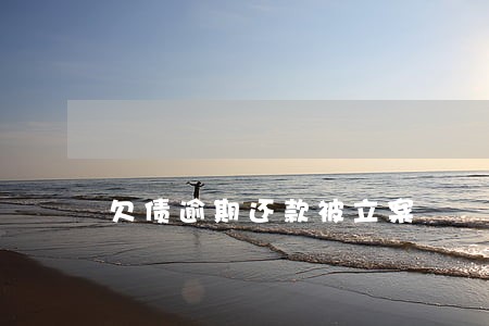 欠债逾期还款被立案