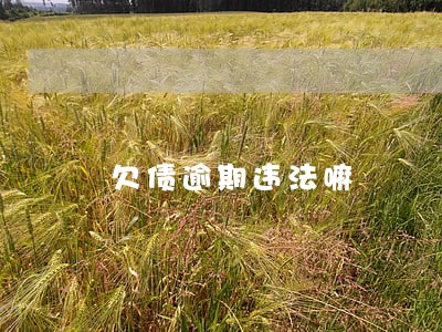 欠债逾期违法嘛 欠债逾期违法嘛