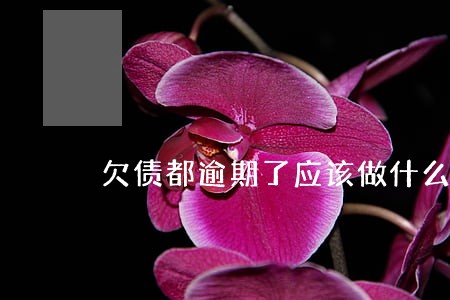 欠债都逾期了应该做什么工作 欠债都逾期了应该做什么工作