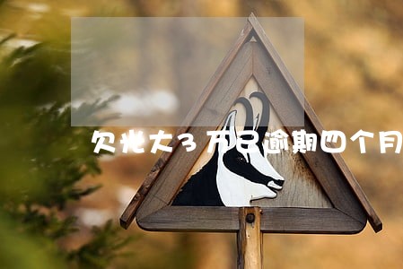 欠光大3万已逾期四个月 欠光大3万已逾期四个月
