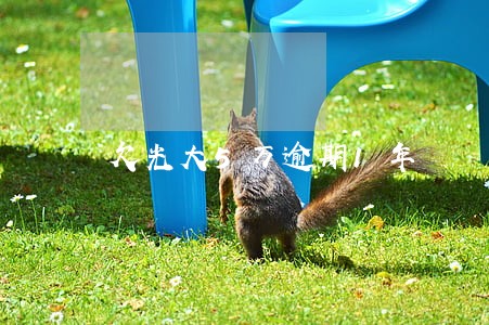 欠光大5万逾期1年 欠光大5万逾期1年