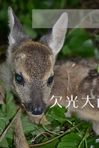 欠光大两千逾期一年 欠光大两千逾期一年