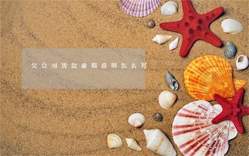 欠公司货款逾期说明怎么写 欠公司货款逾期说明怎么写