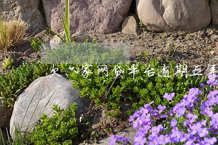 欠六家网贷平台逾期五年了 欠六家网贷平台逾期五年了