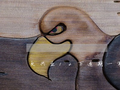 欠兴业12万逾期一年