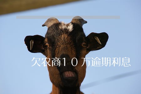 欠农商10万逾期利息