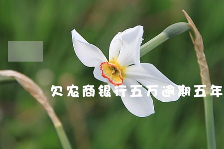 欠农商银行五万逾期五年 欠农商银行五万逾期五年