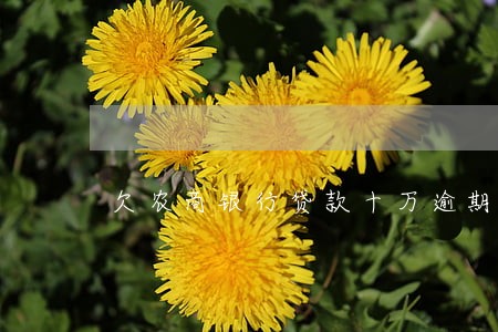欠农商银行贷款十万逾期 欠农商银行贷款十万逾期
