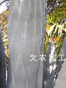 欠农民工工资逾期利息的规定 欠农民工工资逾期利息的规定