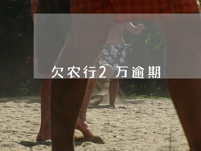 欠农行2万逾期 欠农行2万逾期