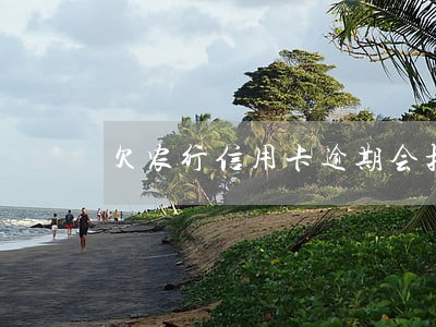 欠农行信用卡逾期会扣储存卡钱吗