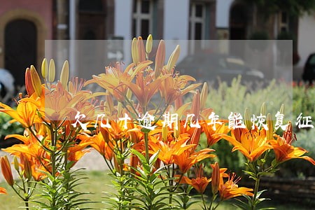 欠几十逾期几年能恢复征信吗 欠几十逾期几年能恢复征信吗