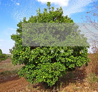欠几家银行信用卡40几万逾期 欠几家银行信用卡40几万逾期