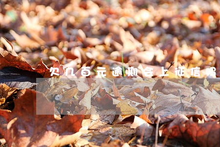 欠几百元逾期会上征信吗 欠几百元逾期会上征信吗