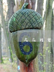 欠几网贷八万全部逾期了6