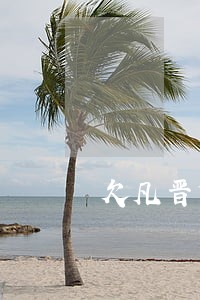 欠凡晋贷款逾期怎么办 欠凡晋贷款逾期怎么办