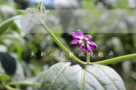 欠别人贷款法院起诉 欠别人贷款法院起诉