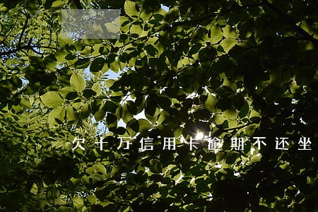 欠十万信用卡逾期不还坐牢多久