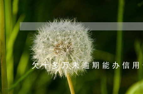 欠十多万未逾期能办信用卡吗 欠十多万未逾期能办信用卡吗