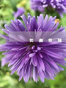 欠南京银行一万四逾期一个多月 欠南京银行一万四逾期一个多月