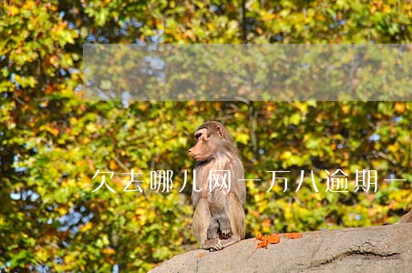 欠去哪儿网一万八逾期一年 欠去哪儿网一万八逾期一年