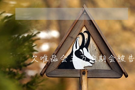 欠唯品会三万逾期会被告吗