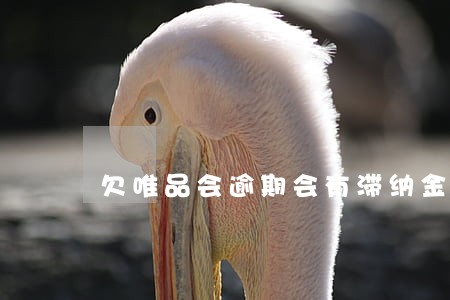 欠唯品会逾期会有滞纳金吗 欠唯品会逾期会有滞纳金吗